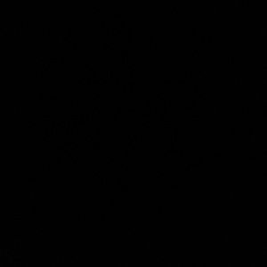 Meet your Posher, Aruna